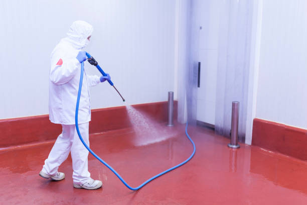 Best Heavy Equipment Washing  in Mentone, CA